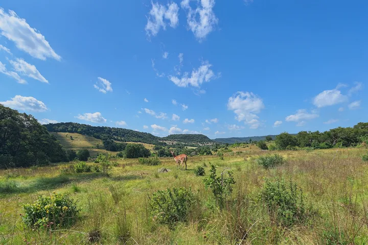 Public park and outdoor recreation space in 78641 Leander, TX