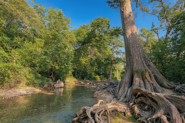 Public park and outdoor recreation space in 78619 Driftwood, TX