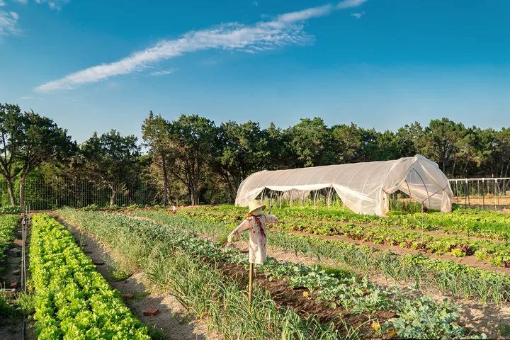 Neighborhood retail and services area in 78619 Driftwood, TX