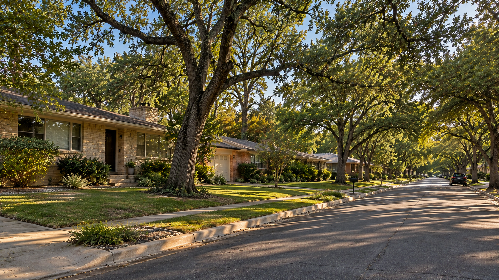 Tree-lined street in an Austin-area neighborhood